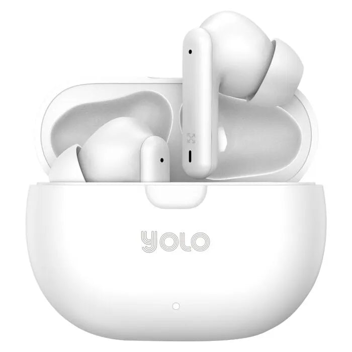 DUO Earbuds